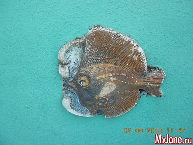 ���� �� �������� � ������