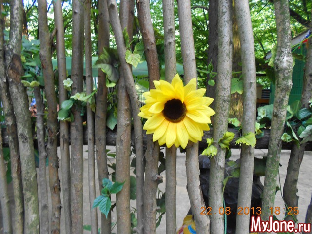 ������� � ���������.