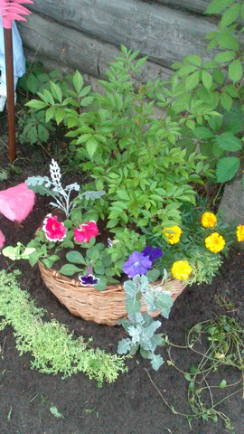 ��� ������� ����������