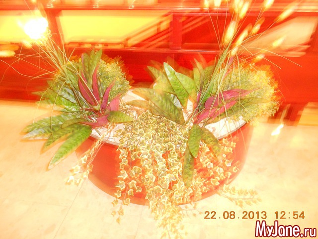 ��������� ����������.