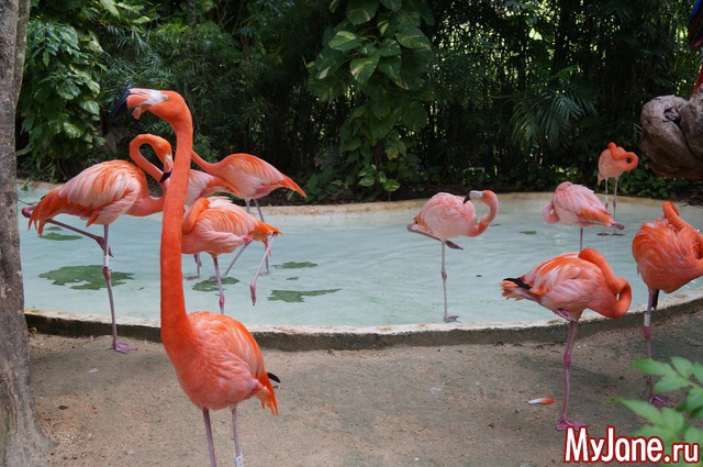 ������� �������� � ����� �������