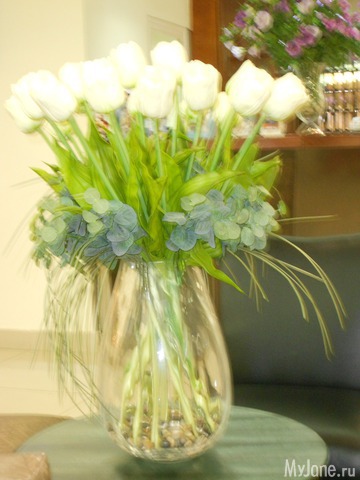 �������� �����