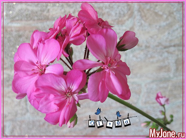 ������ 1