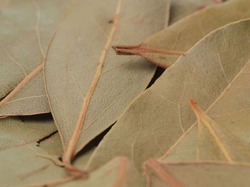 �������������� ��������� � ��������� ��� �������� ����