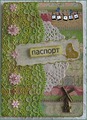 обложка для паспорта
