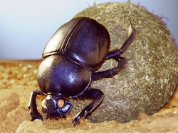 � ������ ������ ������ ����� �������� ������������