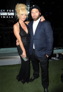 ������ �������� ���������� ���������