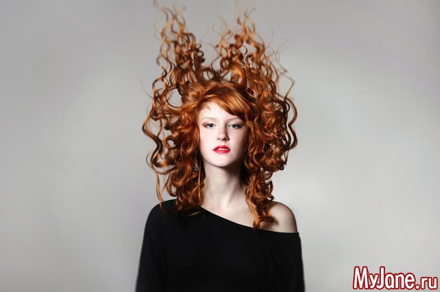 ���� ������