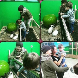 ������� ������ �������� ����� ������ ���� ����� � �������