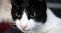 � �������� ��������� ����� ������� ���