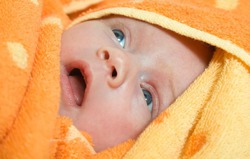 � ������ ��������� ����� ������� ��� - ����