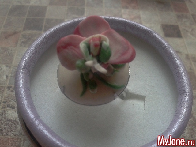 ������ "�������".