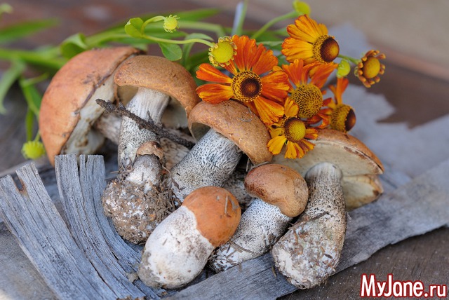 ��������� �������