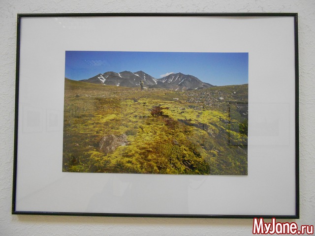 ����� ���������� � ������ ���������.