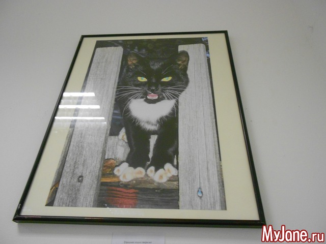 ����� ���������� � ������ ���������.