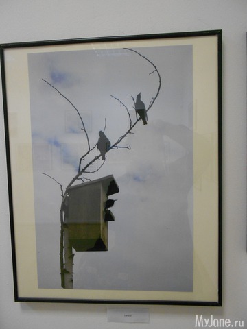 ����� ���������� � ������ ���������.