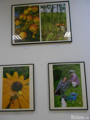 ����� ���������� � ������ ���������.