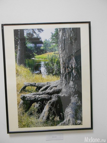 ����� ���������� � ������ ���������.