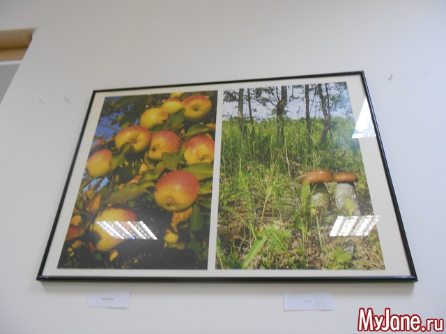 ����� ���������� � ������ ���������.