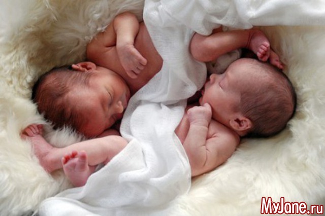 ��� ����� �� 2016