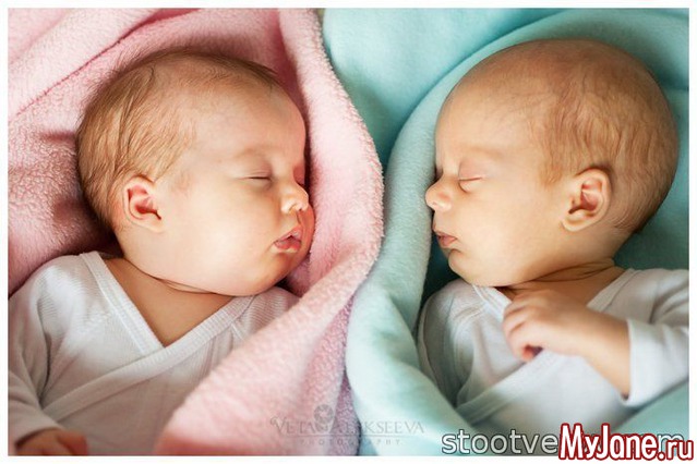 ��� ����� �� 2016