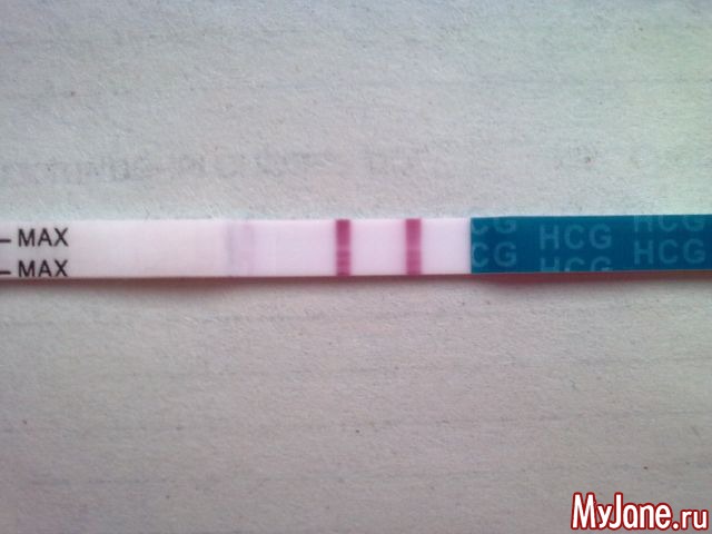 ��� ����� �� 2016