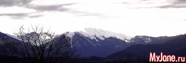 ��� ����� �� ����� �����