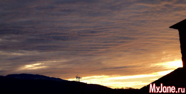 ��� ����� �� ����� �����