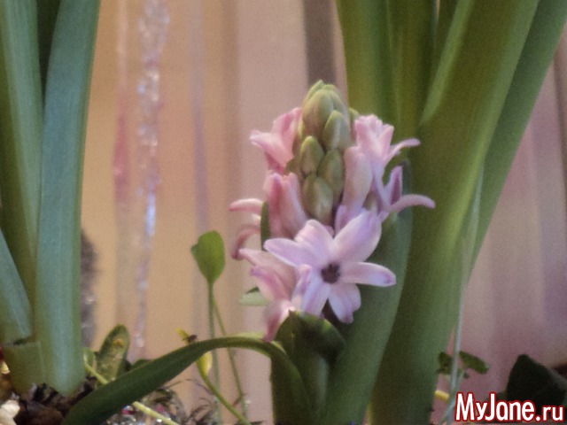 ��� ����� �� ����� �����