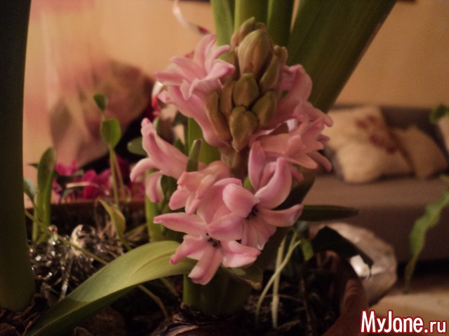 ��� ����� �� ����� �����