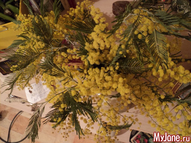 ��� ����� �� ����� �����