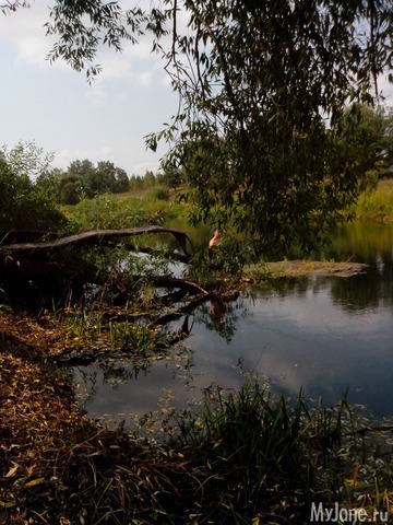 ��� �����