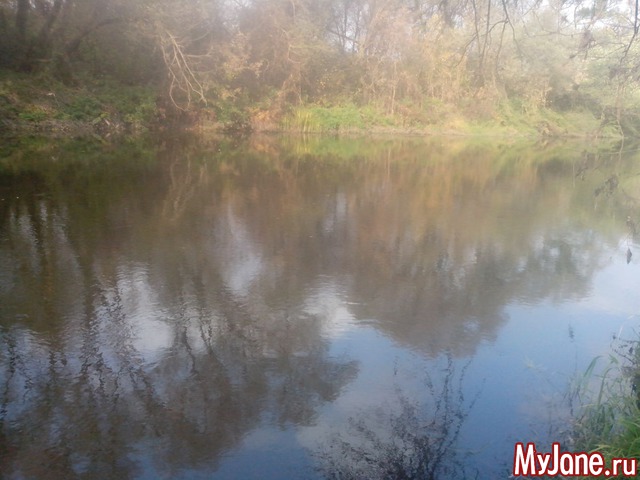 ��� �����