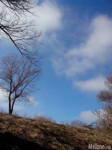 ��� �����