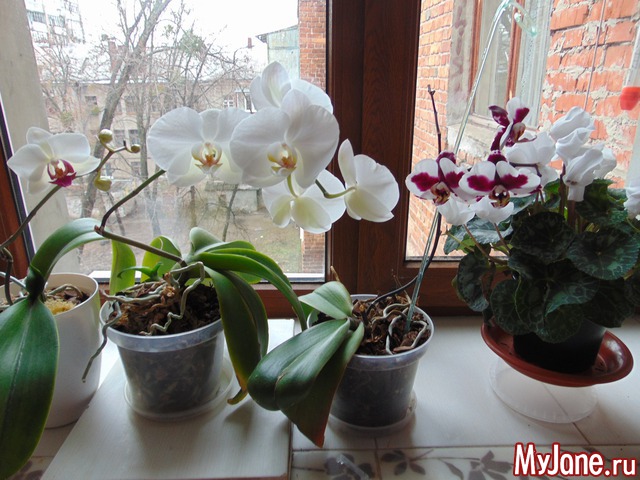 ���� � �������