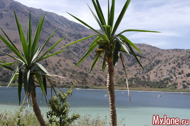 ������ ����