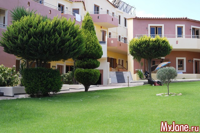 ������ ����