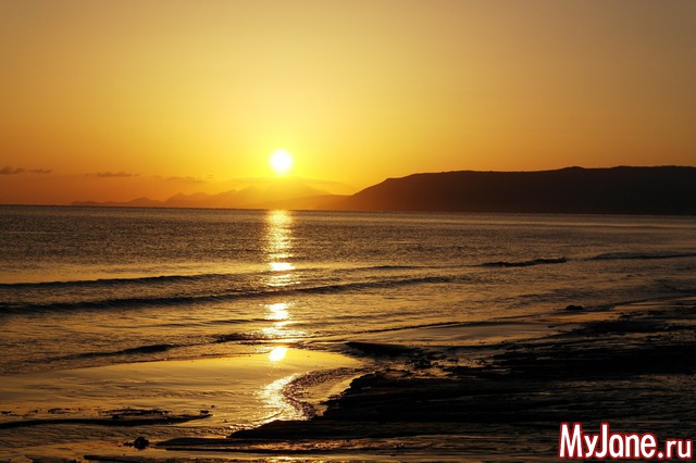 ������ ����