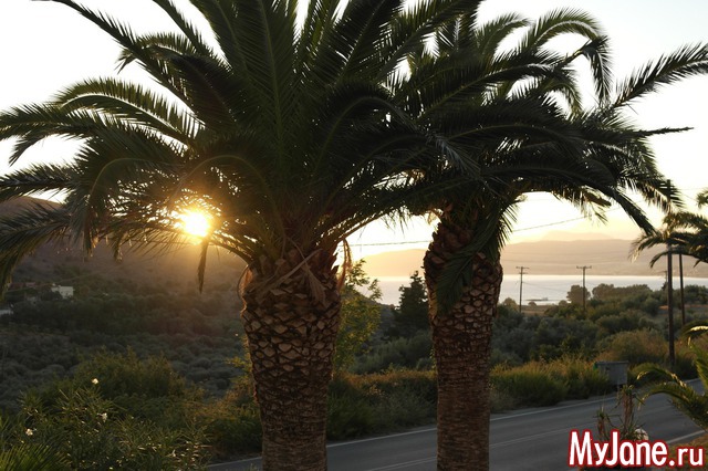 ������ ����