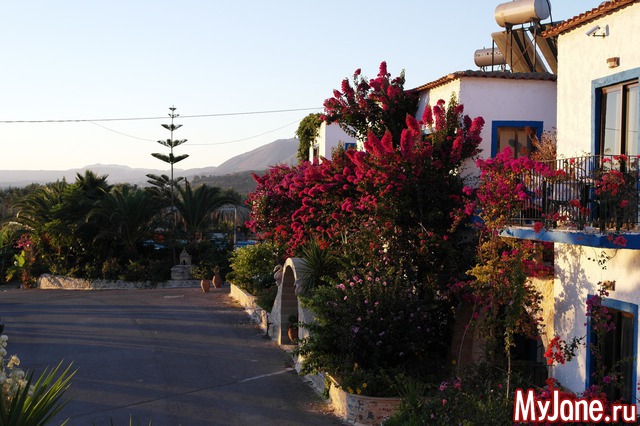 ������ ����