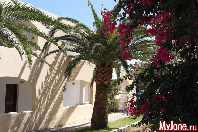 ������ ����