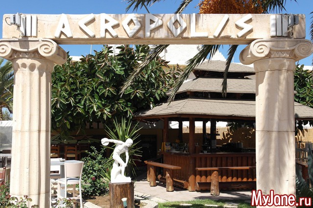 ������ ����