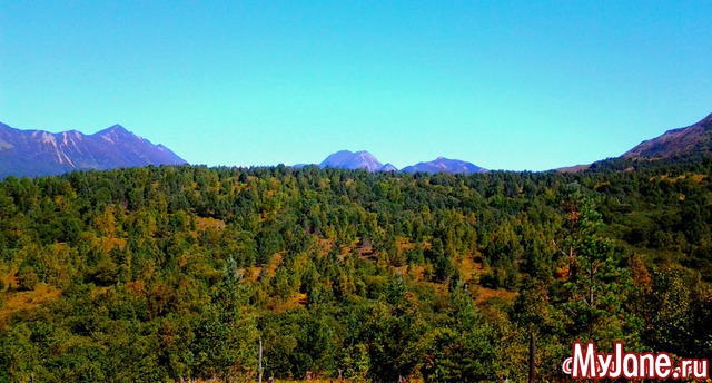 ��� �������� �����.