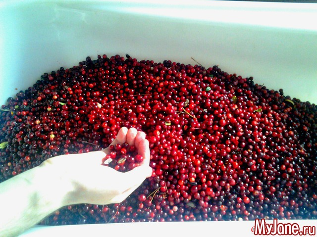 ��� �������� �����.