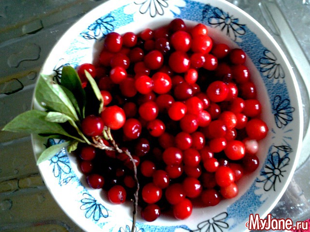 ��� �������� �����.