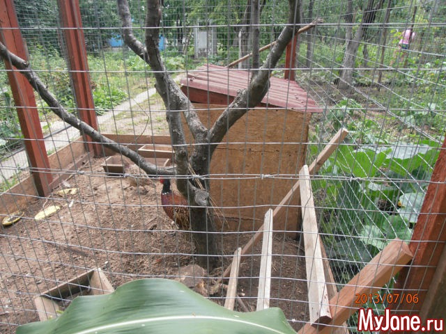 ��� ����