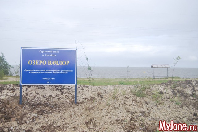 ����� ������