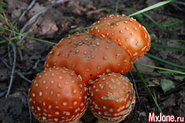 ���  �� ����� ����