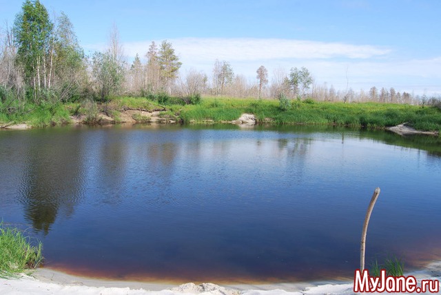 �����  ���������