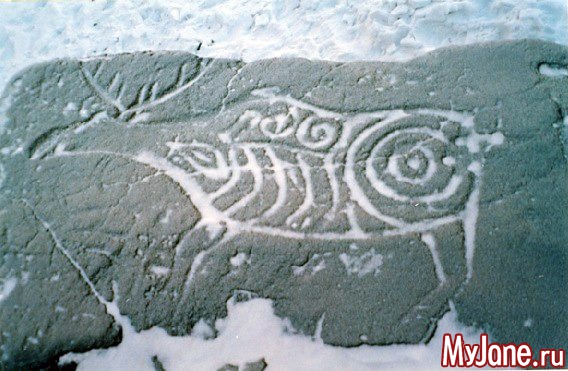 ����� ����� ��������� �� ����� � ���� ������ ���� �� ������ �.����